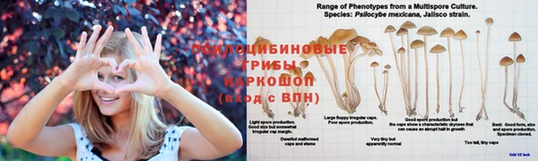 меф Инта