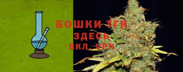 прущая мука Инсар