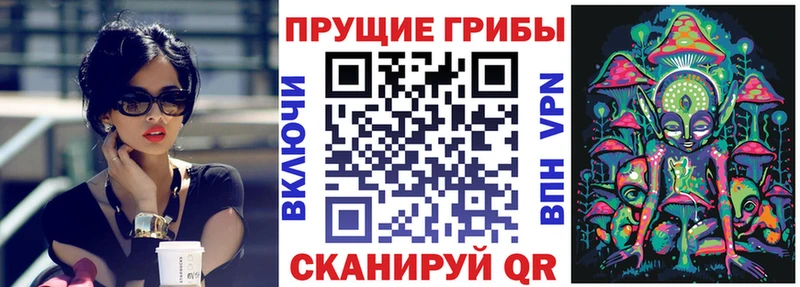 Купить закладки  Зеленогорск  Галлюциногенные грибы мухоморы 