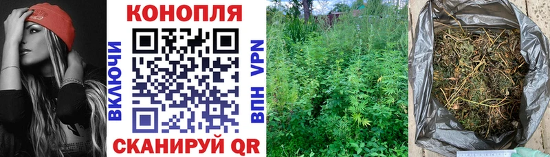 Бошки марихуана ГИДРОПОН  Купить закладки  Зеленогорск 